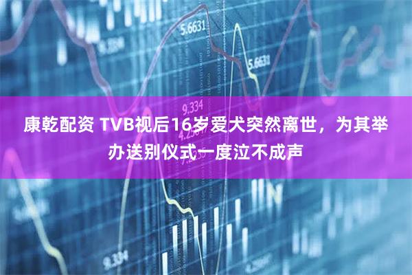 康乾配资 TVB视后16岁爱犬突然离世，为其举办送别仪式一度泣不成声