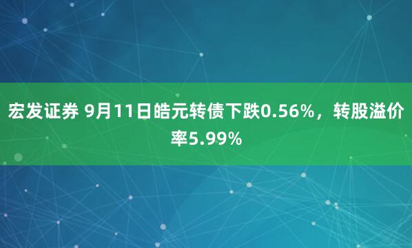 宏发证券 9月11日皓元转债下跌0.56%，转股溢价率5.99%