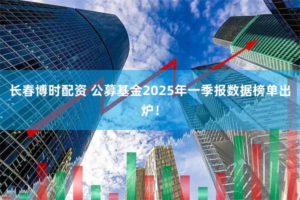 长春博时配资 公募基金2025年一季报数据榜单出炉!