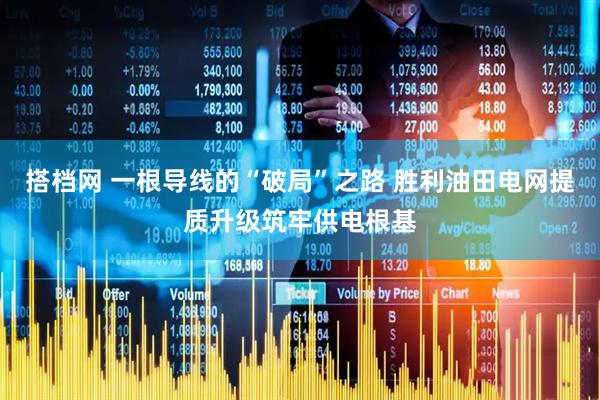 搭档网 一根导线的“破局”之路 胜利油田电网提质升级筑牢供电根基
